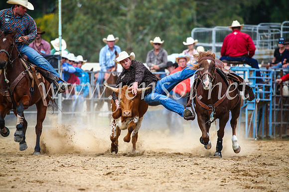 TumutRodeo2017_2164