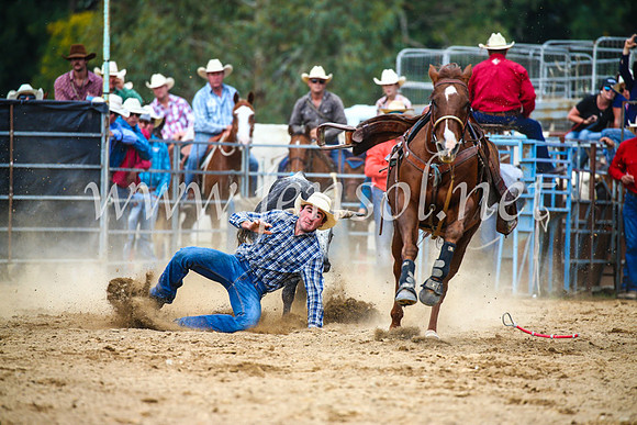 TumutRodeo2017_2176