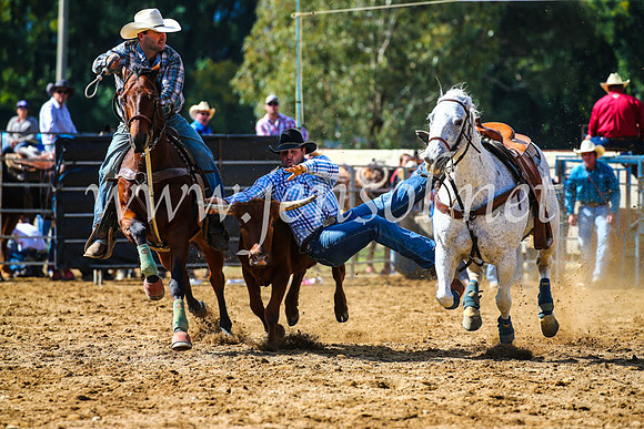 TumutRodeo2017_0915