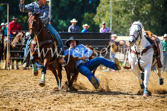 TumutRodeo2017_0926