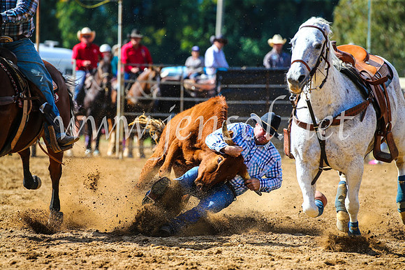TumutRodeo2017_0922