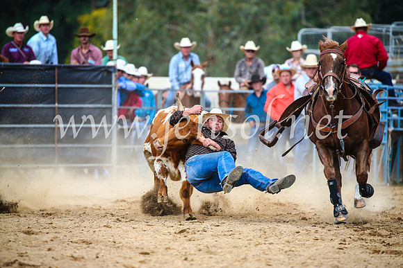 TumutRodeo2017_2161