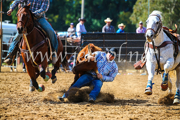 TumutRodeo2017_0920