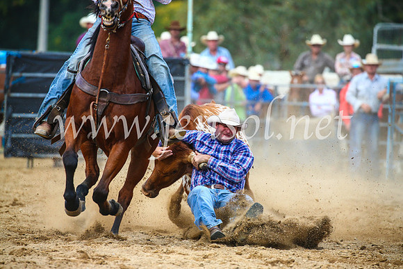 TumutRodeo2017_2239