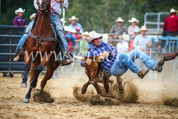 TumutRodeo2017_2241