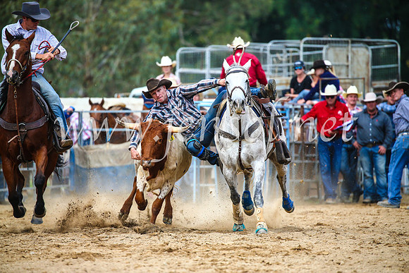 TumutRodeo2017_2197
