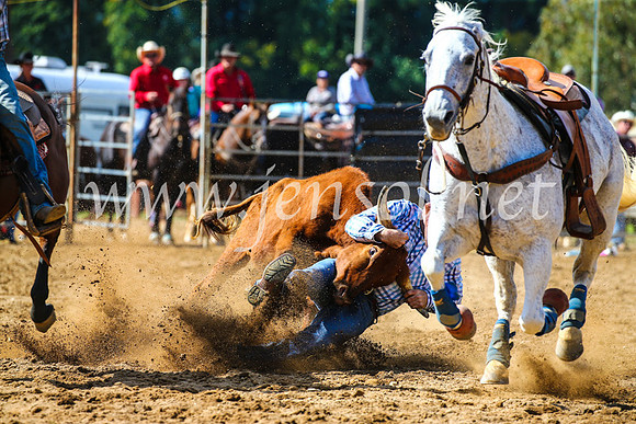 TumutRodeo2017_0921
