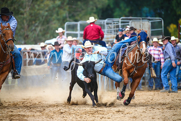 TumutRodeo2017_2206