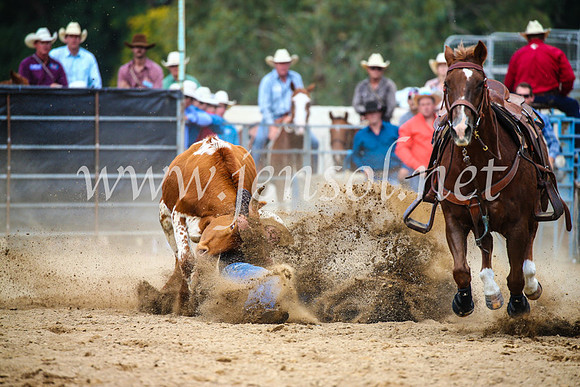 TumutRodeo2017_2175