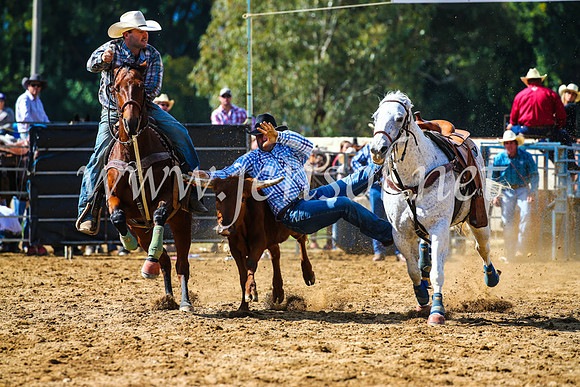 TumutRodeo2017_0916