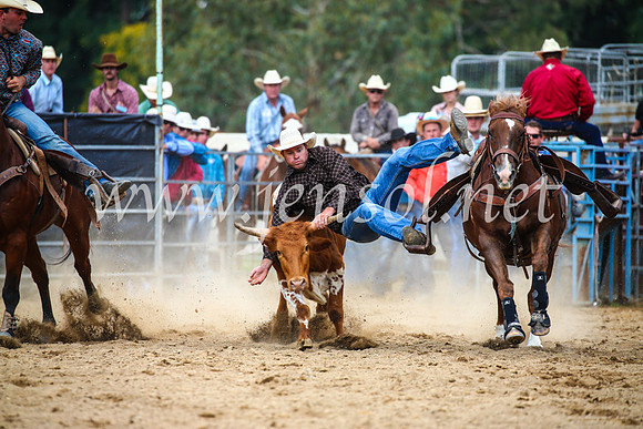 TumutRodeo2017_2166