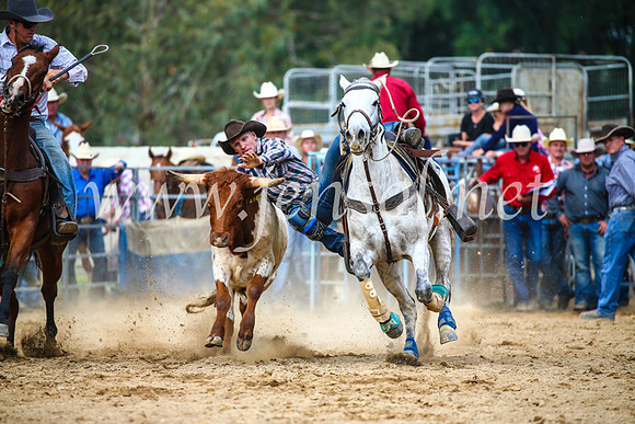 TumutRodeo2017_2192