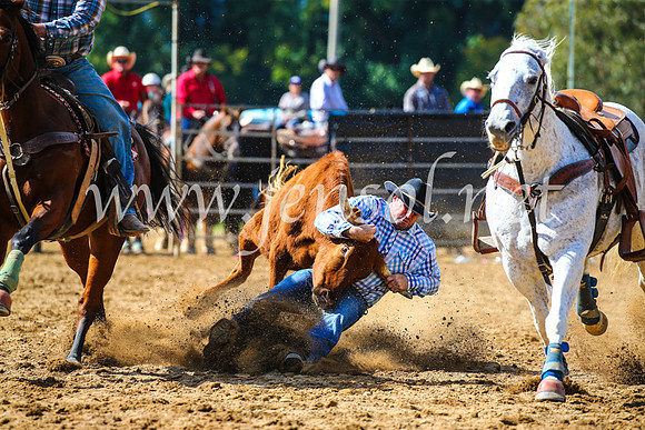 TumutRodeo2017_0918