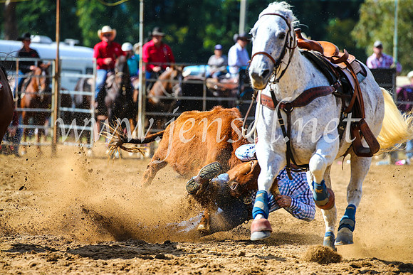 TumutRodeo2017_0919