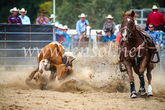 TumutRodeo2017_2174
