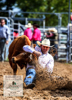 BraidwoodRodeo2019_0958