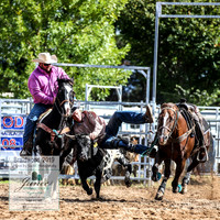 BraidwoodRodeo2019_1018