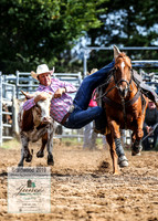 BraidwoodRodeo2019_1004