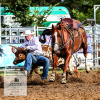 BraidwoodRodeo2019_0270