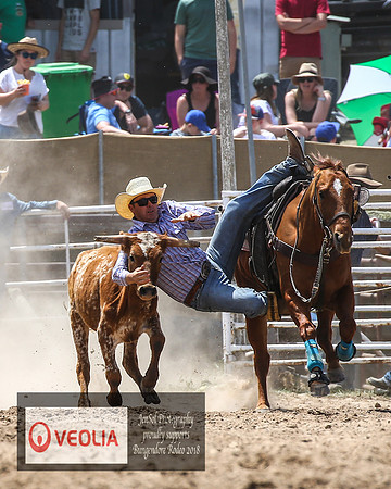 BungendoreRodeo2018-4410