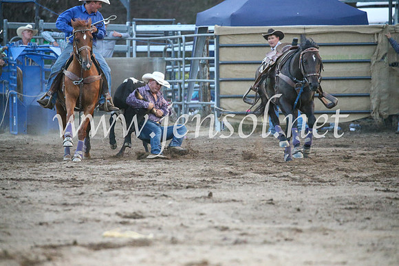 CoomaRodeo2017_3856