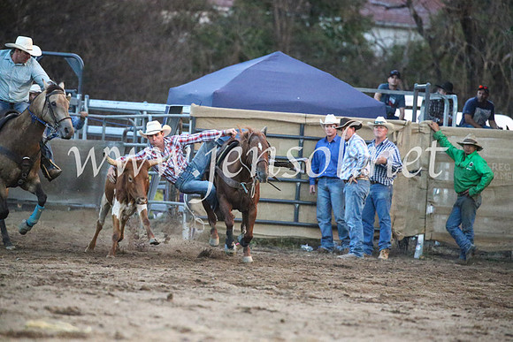 CoomaRodeo2017_3906