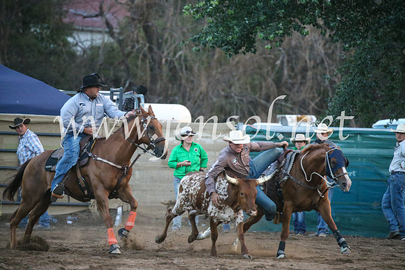 CoomaRodeo2017_3893