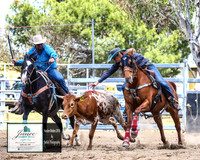 HardenRodeo_2389