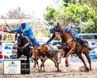 HardenRodeo_2402