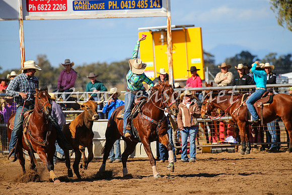 CoonambleRodeoCampdraftSat_0931