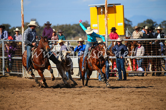 CoonambleRodeoCampdraftSat_0946