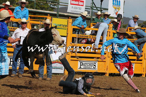 QueanbeyanRodeo2015_2770