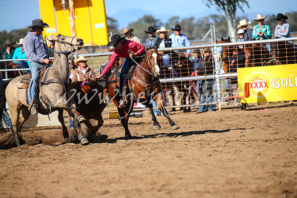 CoonambleRodeoCampdraftSat_0966