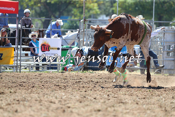 QueanbeyanRodeo2015_1117