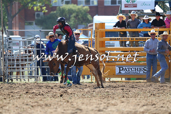 QueanbeyanRodeo2015_0845