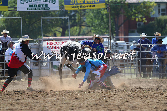 QueanbeyanRodeo2015_0910