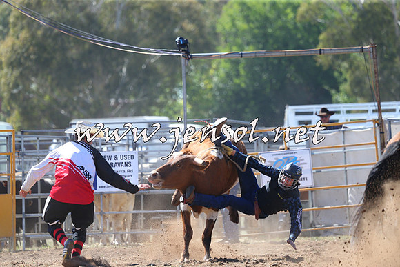 QueanbeyanRodeo2015_0839