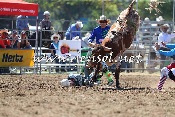 QueanbeyanRodeo2015_1119