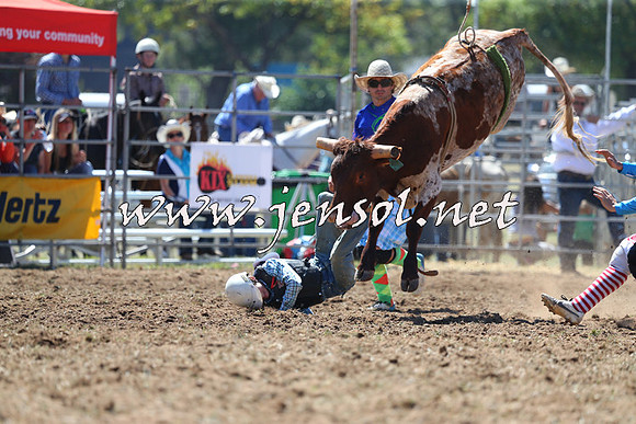 QueanbeyanRodeo2015_1116