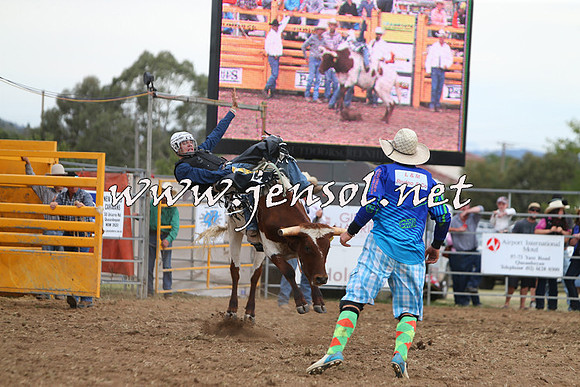 QueanbeyanRodeo2015_3022