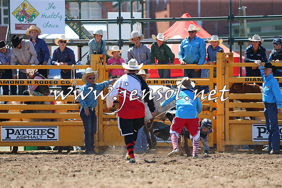 QueanbeyanRodeo2015_1140
