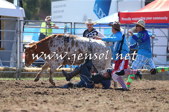 QueanbeyanRodeo2015_0723