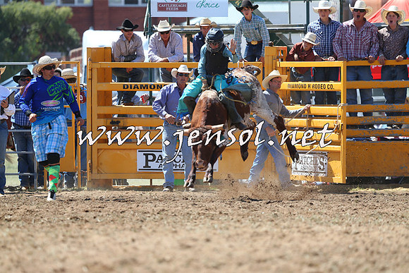 QueanbeyanRodeo2015_1670