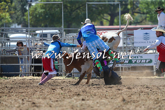 QueanbeyanRodeo2015_1242