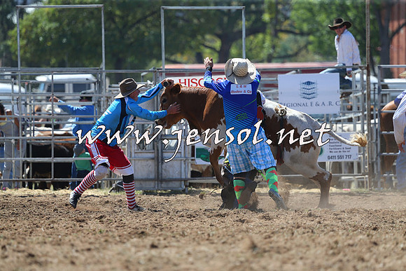 QueanbeyanRodeo2015_1246