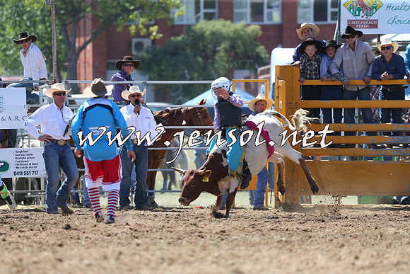 QueanbeyanRodeo2015_1143
