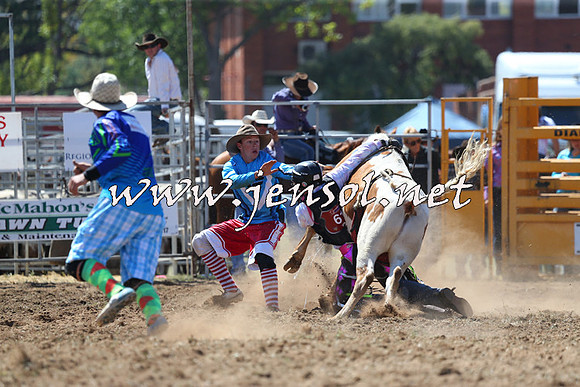 QueanbeyanRodeo2015_1229