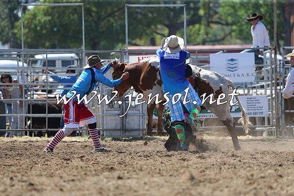 QueanbeyanRodeo2015_1248