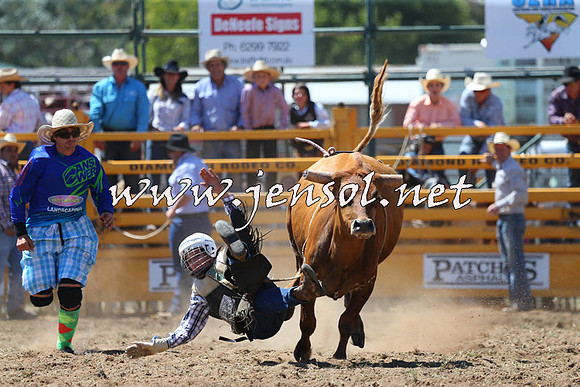 QueanbeyanRodeo2015_1607