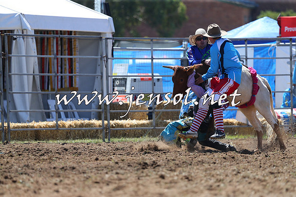QueanbeyanRodeo2015_1174